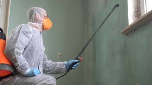 Best Asbestos and Lead Testing During Mold Inspection  in Fairview, CA