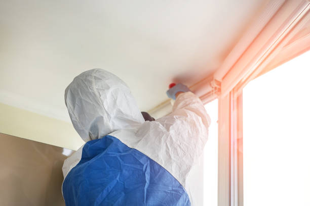 Best Mold Odor Removal Services  in Fairview, CA